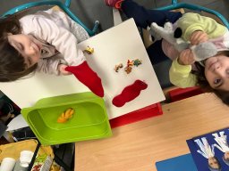 whatsapp image 2026-01-26 at 17.25.12 2